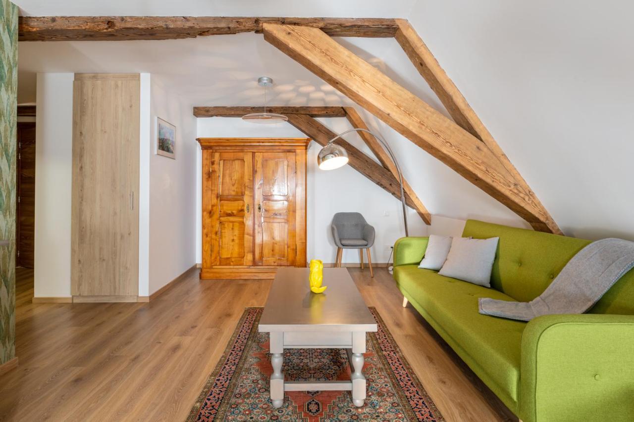 Le Rhenanus Jacques Spiegel - Ideal Pour Un Couple - Appartement Au Calme - Parking Gratuit Sélestat Exterior foto