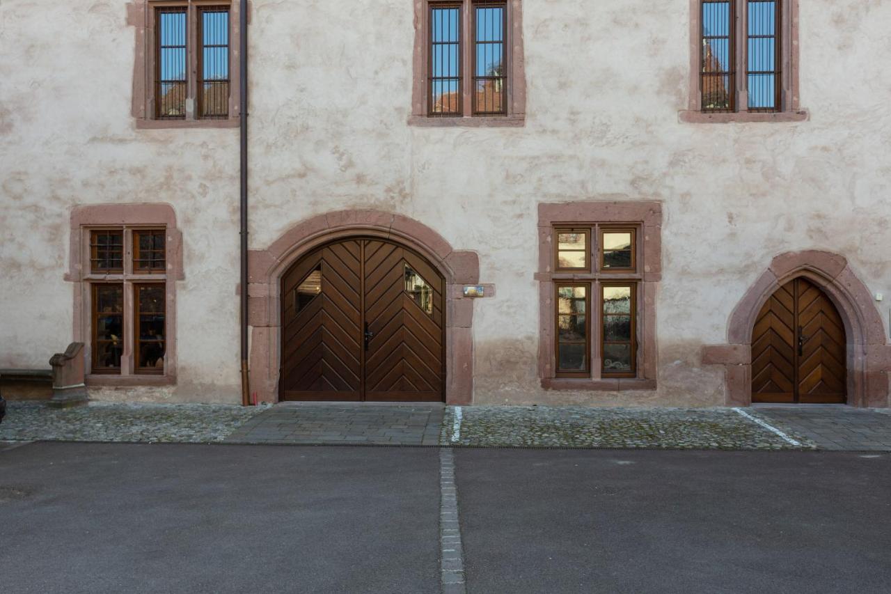 Le Rhenanus Jacques Spiegel - Ideal Pour Un Couple - Appartement Au Calme - Parking Gratuit Sélestat Exterior foto